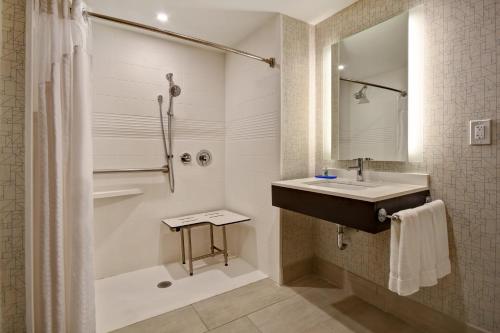 艾伦镇阿伦敦多丽公园地区快捷假日&套房酒店的一间带水槽和淋浴的浴室