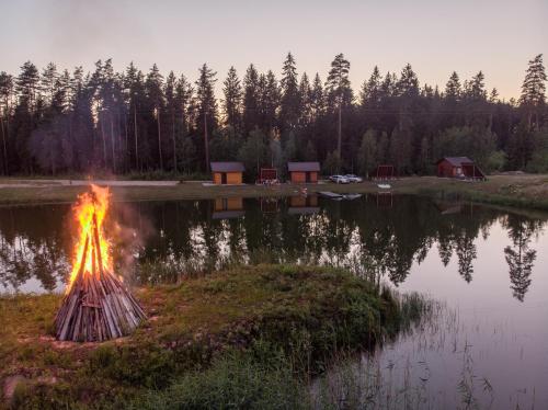 PuskaruMetsjärve kämping的湖边草丛中的 ⁇ 火