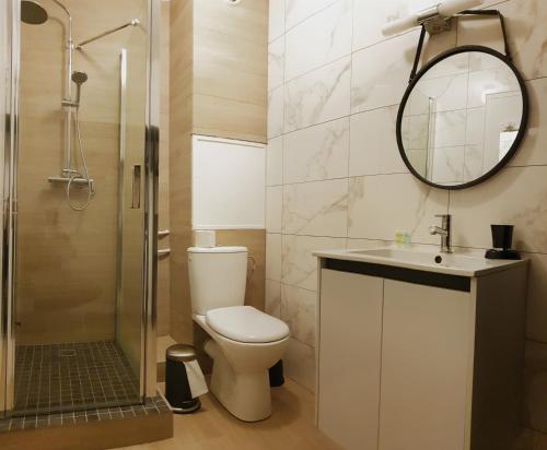 罗什福尔ROCHEFORT authentique的一间带卫生间、水槽和镜子的浴室