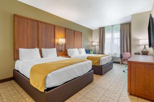 莱克伍德Comfort Inn & Suites Lakewood by JBLM的酒店客房设有两张床和一台平面电视。