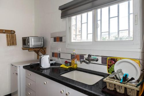 提比里亚大卫旅舍的带水槽的厨房台面和窗户