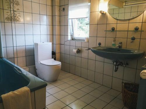 Ferienwohnung Hamm Rhynern im alten Bauernhaus 1870的一间浴室