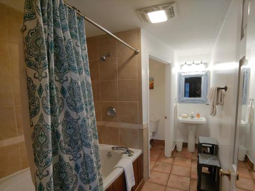 布赖森城McKinley Edwards Inn的带淋浴、浴缸和盥洗盆的浴室