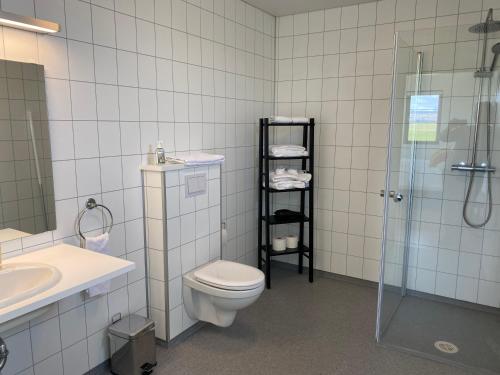 霍尔斯沃德吕尔布鲁山林小屋的浴室配有卫生间、淋浴和盥洗盆。
