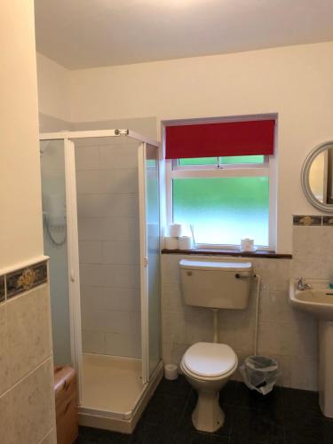 利特里姆Drumcoura Bungalow的一间带卫生间和淋浴的浴室以及窗户。