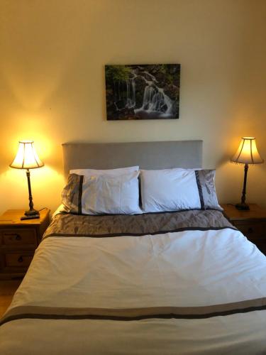 利特里姆Drumcoura Bungalow的一间卧室配有一张大床和两盏灯