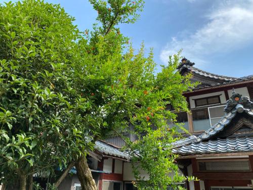 Sabae田舎生活体験福井県観光者向け古民家的前面有棵树的亚洲建筑