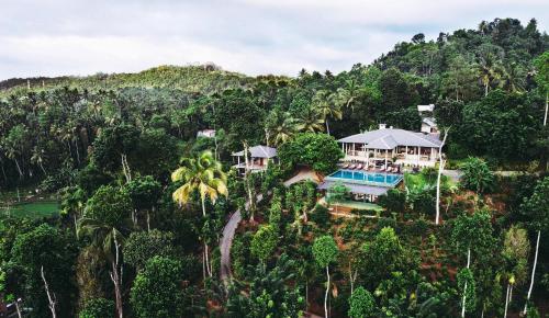 康提Aarunya Nature Resort and Spa的森林中房屋的空中景观