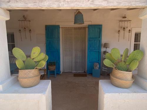 拉莫拉CAN PEP MAYANS的两盆植物坐在门廊上,有蓝色的门
