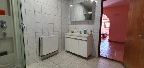 北马马亚-讷沃达里Vila Vasile的白色的浴室设有水槽和镜子