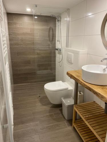 哈克斯卑尔根t Melkhuisje - EV lader aanwezig!的浴室配有卫生间、盥洗盆和淋浴。