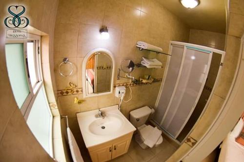 克雷塔罗Hotel Tres Sofias的一间带水槽、淋浴和卫生间的浴室