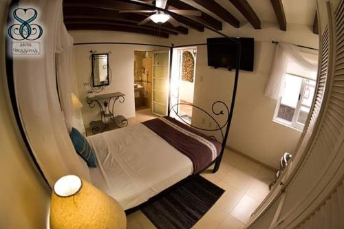 克雷塔罗Hotel Tres Sofias的一间小卧室,配有一张床和电视