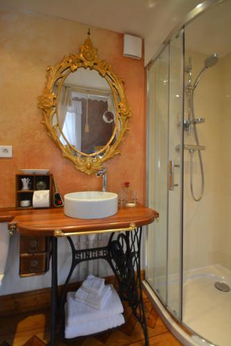 科尔马Castelnau的一间带水槽、镜子和淋浴的浴室