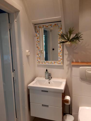 BakkeveenB&B Appartement De Winkeljuffer的一间带水槽和镜子的浴室