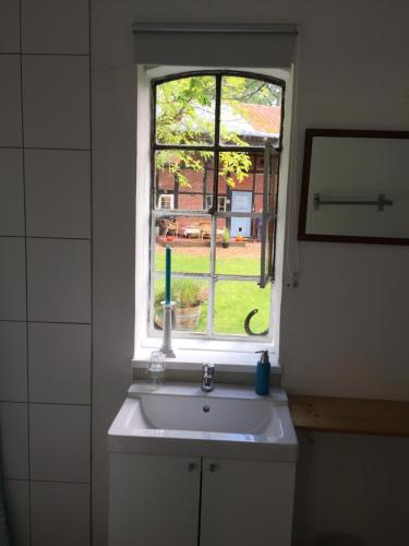 萨尔茨豪森Appartement im alten Pferdestall的一间带水槽和窗户的浴室