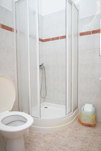 大洛西尼Penzion Terasa, bed & breakfast的带淋浴和卫生间的浴室