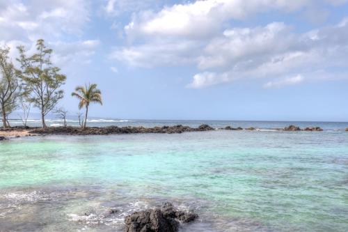 希洛Mauna Loa Shores #405 condo的海中棕榈树的岛屿