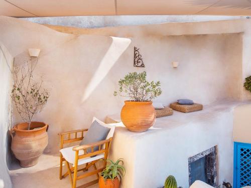 伊亚阿尼米度假屋及别墅的一间种植了植物的房间,配有椅子和壁炉