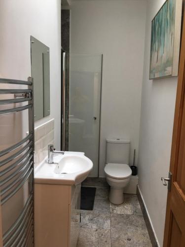 什鲁斯伯里Primrose的一间带水槽和卫生间的浴室