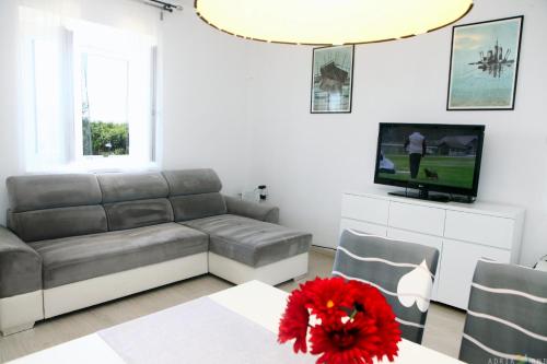 安卡兰Pure nature coastal apartment VLASTA的带沙发和电视的客厅