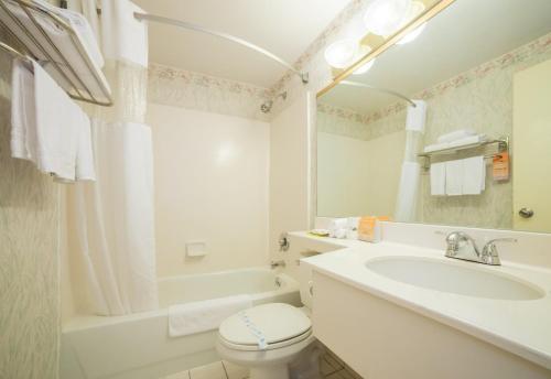 皇后区法拉盛中央酒店的白色的浴室设有水槽和卫生间。