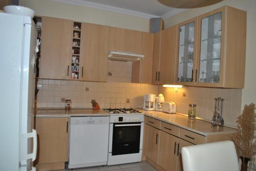 希欧福克阿内特公寓的厨房配有白色炉灶和白色冰箱。