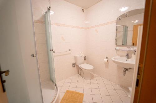 斯米扎尼Park Hotel Čingov的一间带卫生间和水槽的浴室