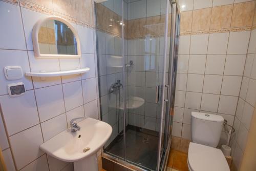 弗瓦迪斯瓦沃沃Irenka的带淋浴、卫生间和盥洗盆的浴室
