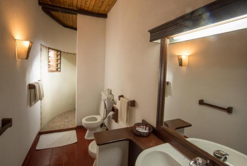 基利菲猴面包树海旅馆的一间带卫生间、水槽和镜子的浴室