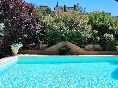 斯佩洛Villamena的鲜花盛开的花园前的游泳池