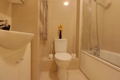 NortholtLuxury Studio Apartment的浴室配有卫生间、淋浴和盥洗盆。