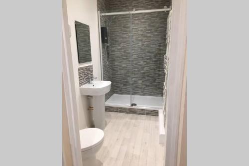 多佛尔Private 1st Floor Apartment - Perfect for Port of Dover, Eurotunnel and Short Stays的浴室配有卫生间、盥洗盆和淋浴。