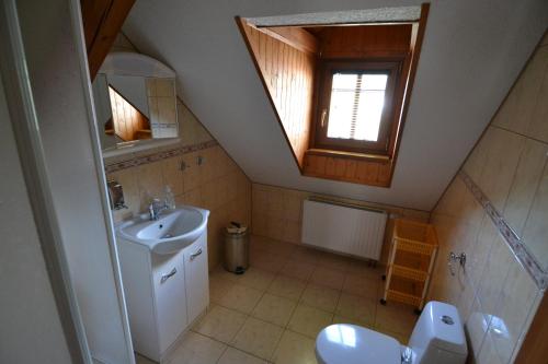 BrtníkyPenzion "U Krkovičky"的一间带水槽和卫生间的浴室以及窗户。