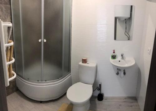 罗夫诺Міни - готель в центрі Apartment in Center的带淋浴、卫生间和盥洗盆的浴室