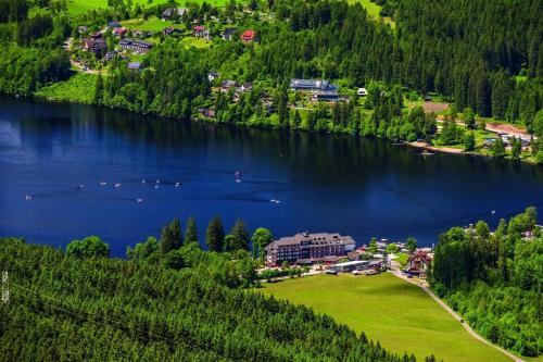 Maritim Titisee Hotel picture 1