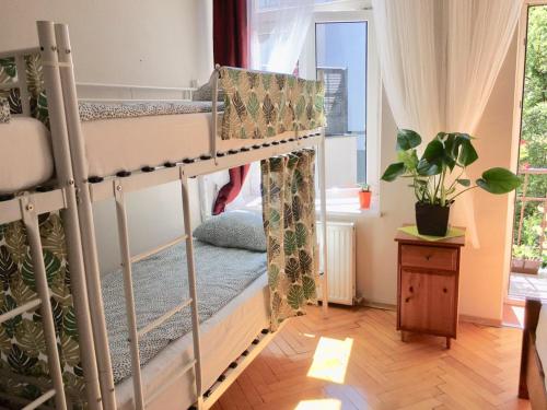 克拉科夫Green House的客房设有两张双层床和一扇窗户。
