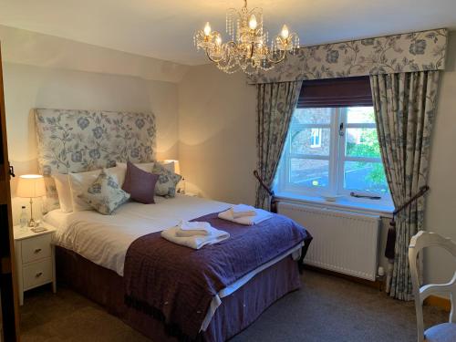 邓斯特Millstream Cottage B & B的一间卧室配有一张带吊灯和窗户的床。