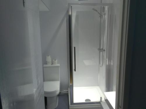 ElswickClifton Hotel & Bar Newcastle的带淋浴和卫生间的白色浴室