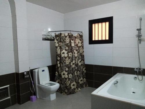 萨利尼亚拉尔Villa Louly的一间带卫生间、水槽和窗户的浴室