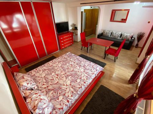 康斯坦察Faleză nord的一间卧室设有一张床和一间客厅。