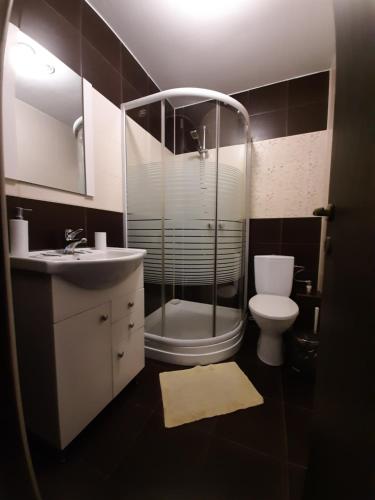 克拉约瓦Casa Flamingo的带淋浴、卫生间和盥洗盆的浴室