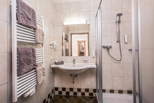 萨尔巴赫Hotel Vorderronach的一间带水槽和淋浴的浴室