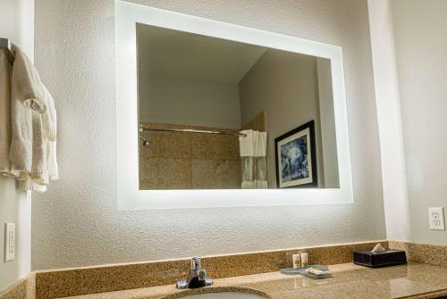 韦伯斯特休斯顿/克利尔湖-NASA拉金塔酒店及套房的一间带水槽和大镜子的浴室