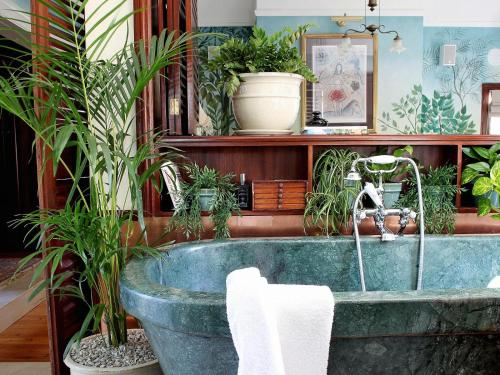 斯泰伦博斯Le Jardin Villa的浴室配有带盆栽植物的浴缸
