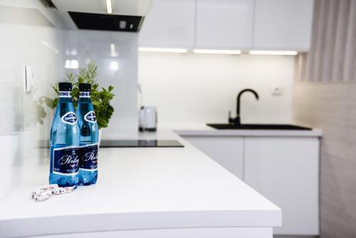 科宁Hypnotize Apartment Glamour的厨房柜台上摆放了两瓶水