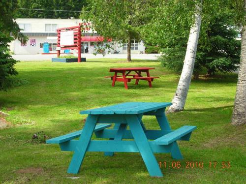 克利尔沃特Overlook Inn & Cabins的坐在公园里的蓝色野餐桌
