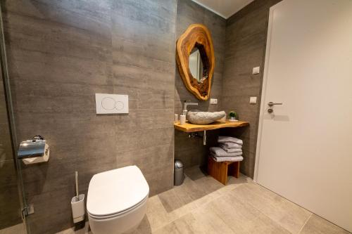 NiederpallenGreen & Breakfast Fjord的一间带卫生间和镜子的浴室