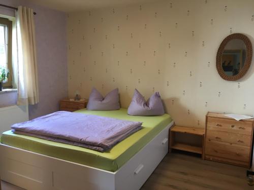 LauensteinSchlossblick Lauenstein的一间卧室配有一张带紫色枕头和镜子的床