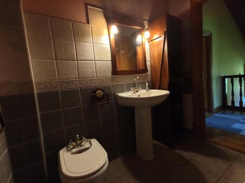 ArguebanesCasa el Viñadal的一间带水槽、卫生间和镜子的浴室